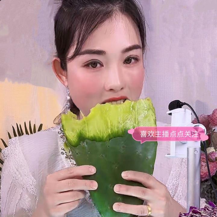 食用仙人掌墨西哥米邦塔生吃仙人掌药用种植外敷内服榨汁种苗基地