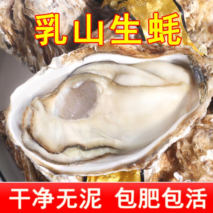 正宗乳山生蚝鲜活牡蛎新鲜海蛎子源产地直发送货上门顺丰京东包邮