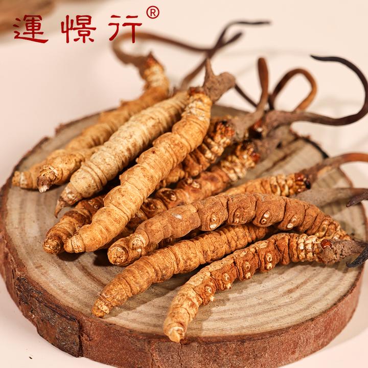 冬虫夏草 精选头茬虫草整条 1条装