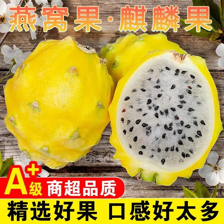 顺丰包邮海南新鲜燕窝果麒麟果4斤礼盒装送礼香甜多汁产地直发