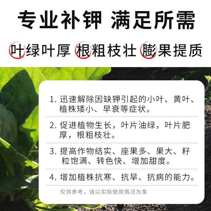 小麦油菜10瓶400克氯化钾280克/升有机水溶肥料忌氯不用