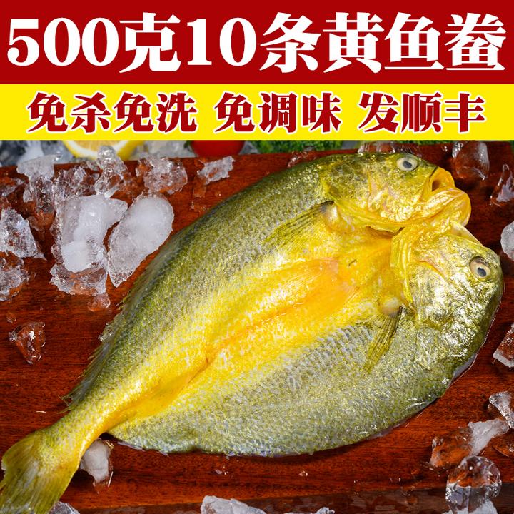 【500gx10条】宁德黄鱼鲞正宗黄花鱼三去大黄鱼腌制醇香克非半干货