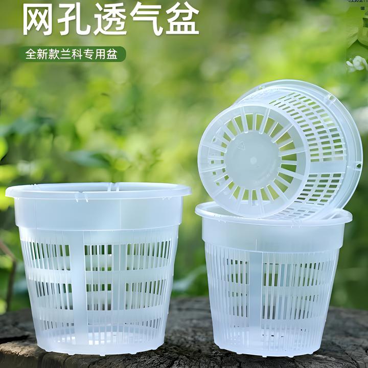 兰花花盆大号加厚透气塑料花盆控根盆蝴蝶兰定植篮洋兰绿萝水培篮