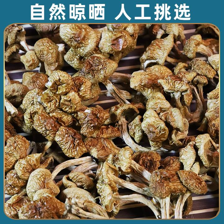 【滑子菇】干滑子菇黄蘑干货菌菇无根肉厚滑子蘑小黄蘑香菇小鸡炖蘑