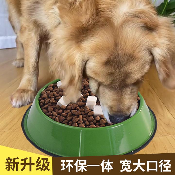 宠物碗 最新款多巴胺色系防打翻耐磨 环保塑料材质猫狗通用宠物碗