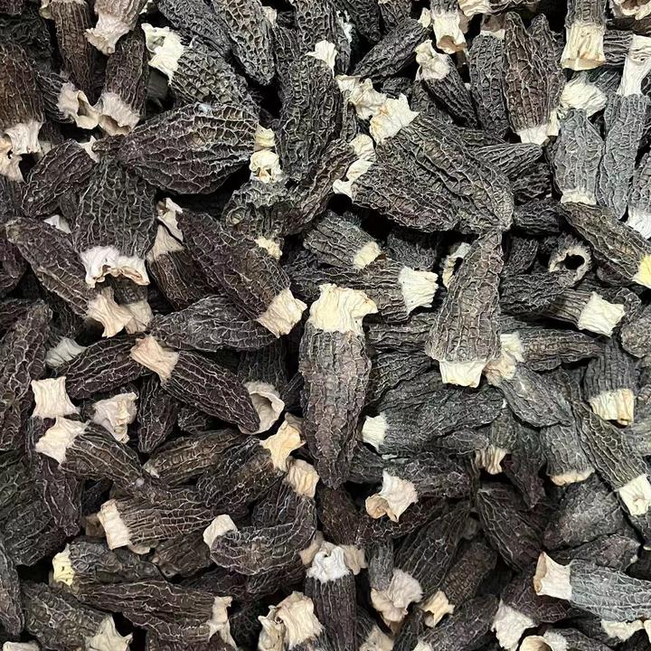 头茬肉质肥厚煲汤鲜美特级羊肚菌