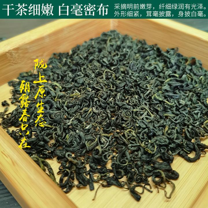 甘肃特产陇南茶叶文县碧口李子坝高山毛峰绿茶叶原产地厂家直销