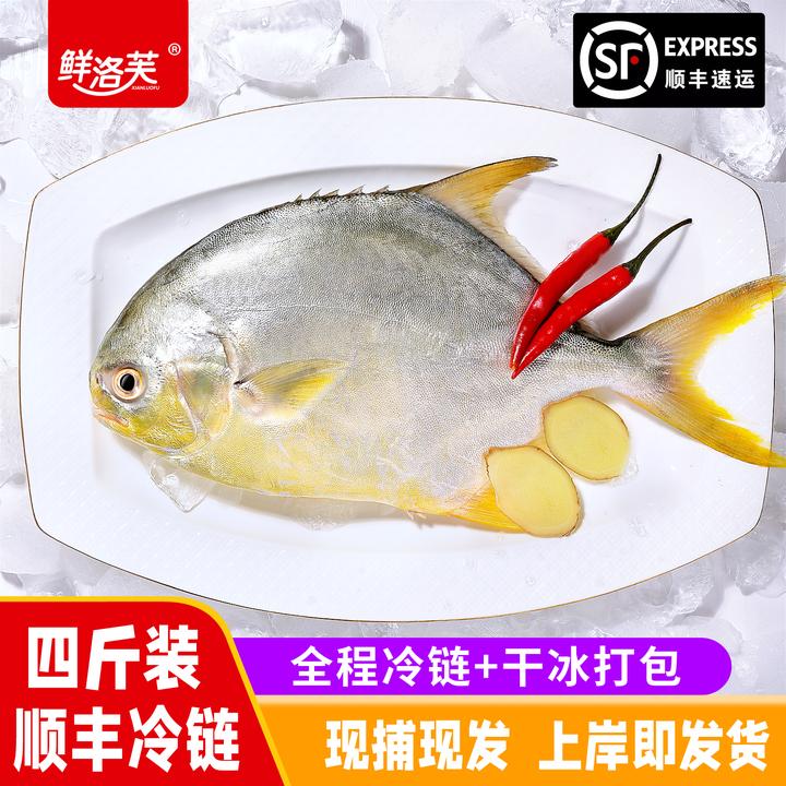 【顺丰冷链包邮】金鲳鱼广东阳江深海鲜活捕捞速冻新鲜当季送礼金昌