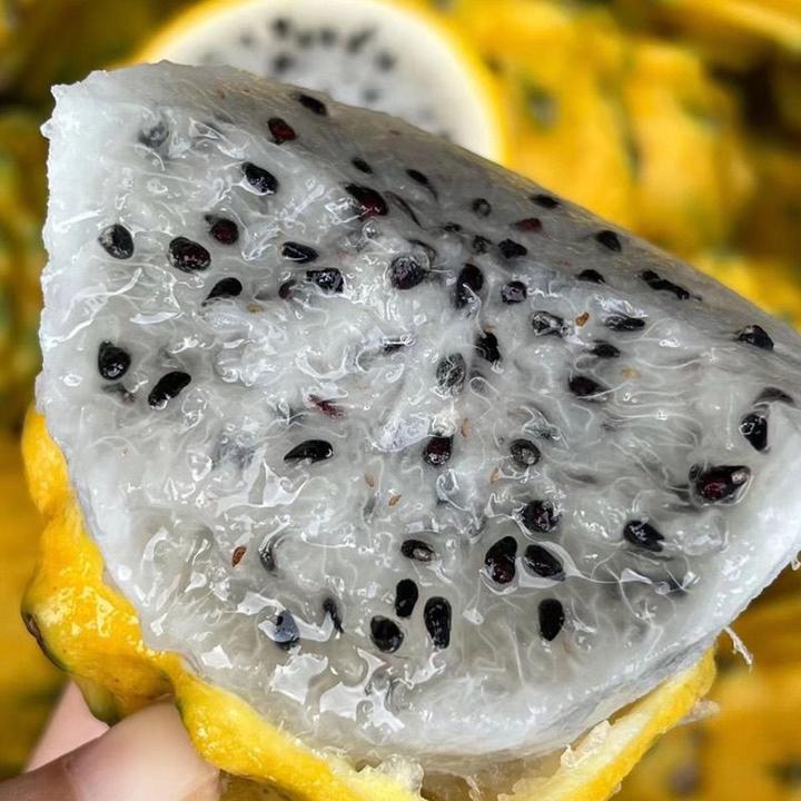 海南直发三亚新鲜燕窝果海南热带水果空运包邮5斤