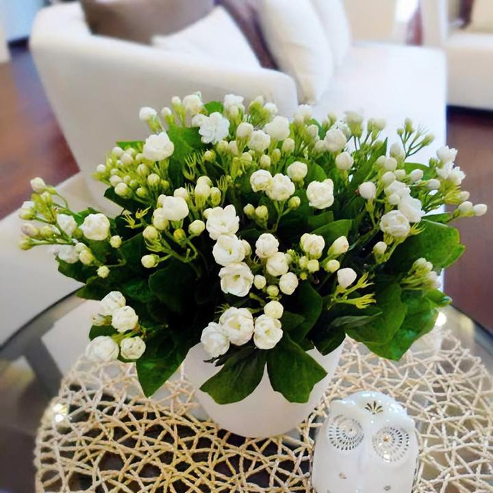 茉莉花盆栽重瓣浓香四季开花好养室内客厅阳台清香淡雅带花苞发货