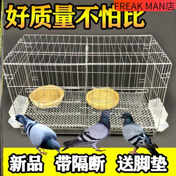 鸽子笼家用配对养殖全套笼子不锈钢色大型白鸽信鸽铁折叠鸟笼鸽笼