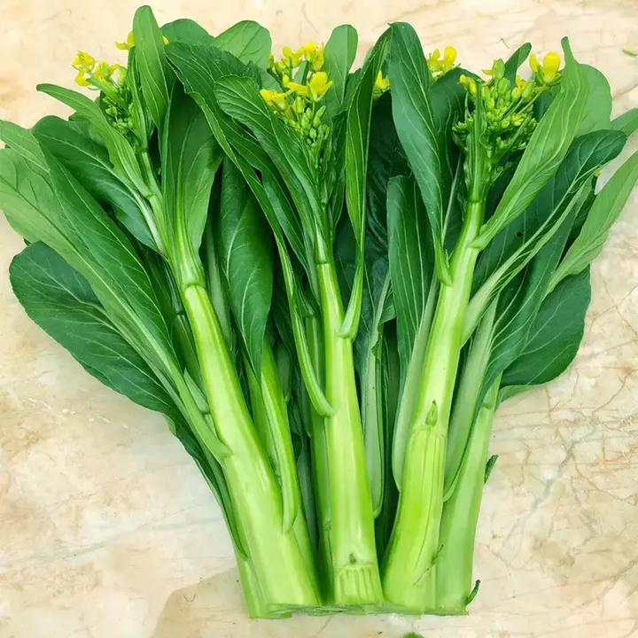 四九菜心种子25天速生甜菜心菜苔籽四季阳台盆栽种耐热蔬菜种子