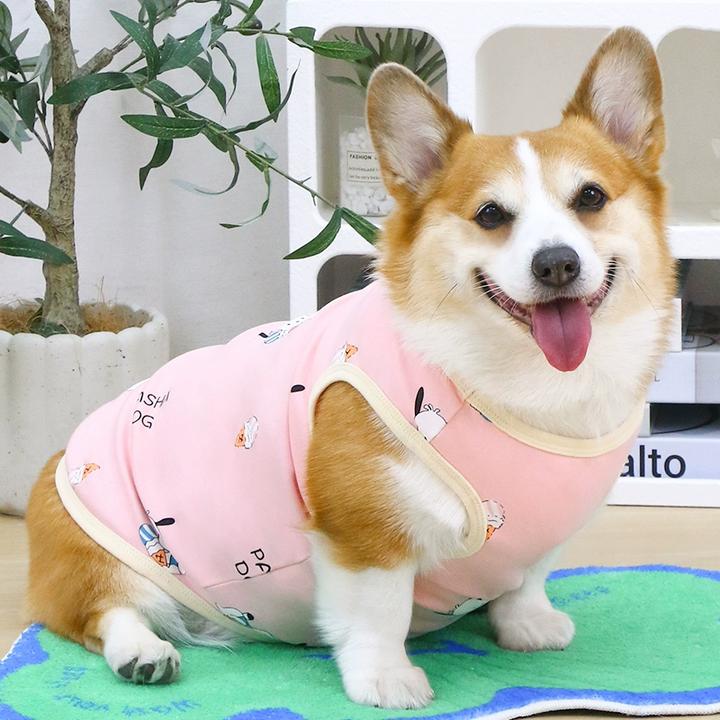 宠物狗狗衣服防掉毛可爱春秋款柯基柴犬狗背心2025新款中型犬夏季