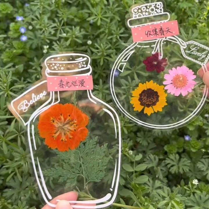 大号瓶子里的秋天干花书透明签手工DIY材料树叶标本压花书签制作