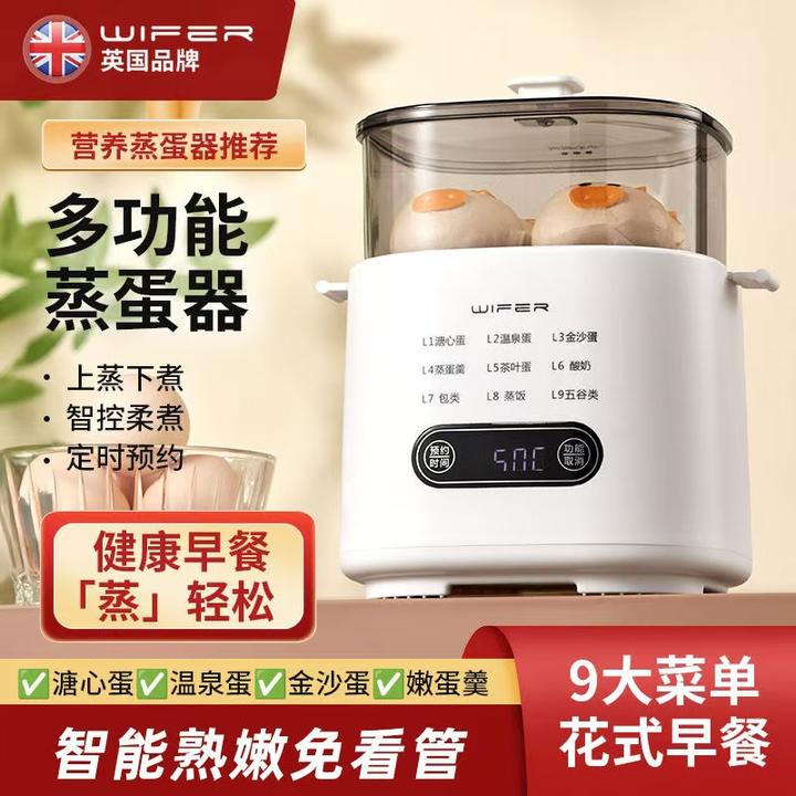 家用小型电蒸锅智能多功能一体电蒸笼学生宿舍隔水双层蒸蛋煮蛋器