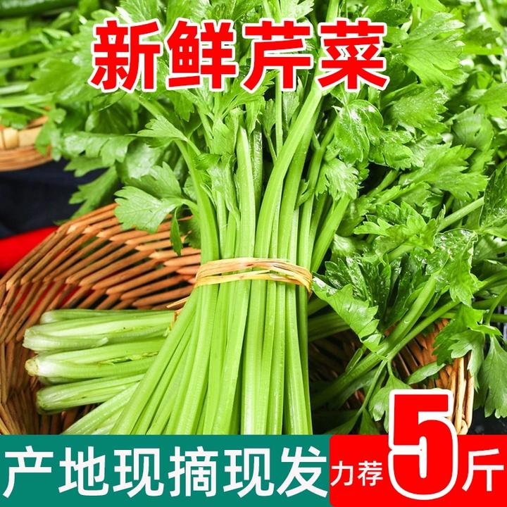 (当天采摘)现割现发新鲜芹菜时令蔬菜榨汁大颗去叶西芹