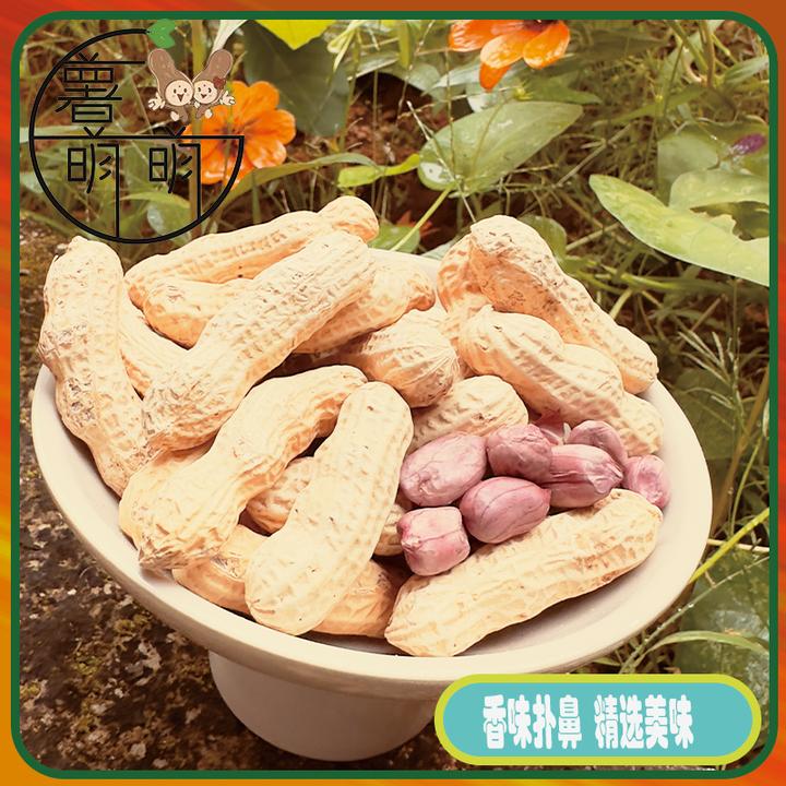 【2024新花生】龙岩湿烤五香水煮原味晒干紫衣花生红衣湖峰小种脆