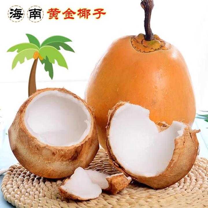 海南黄金椰子带皮椰青三亚特产新鲜水果黄金红椰现摘
