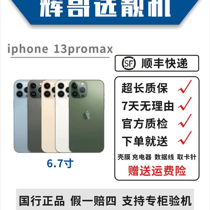 95新 Apple/苹果 13promax国行双卡6.7寸 原装全网通正品