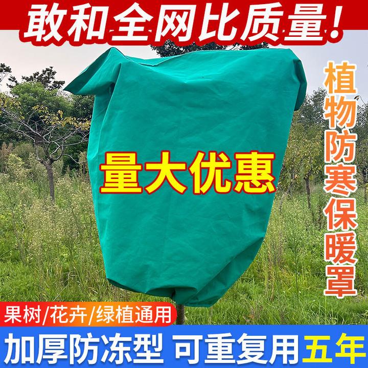 防寒布绿植花卉果树苗树木防寒防风防霜雪保温防冻加厚无纺布树罩