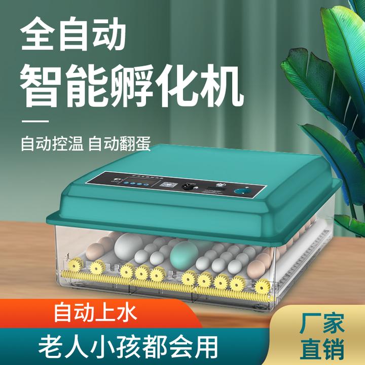 【高孵化率】孵化器全自动控温加热小型孵化机小鸡孵蛋器芦丁孵蛋机