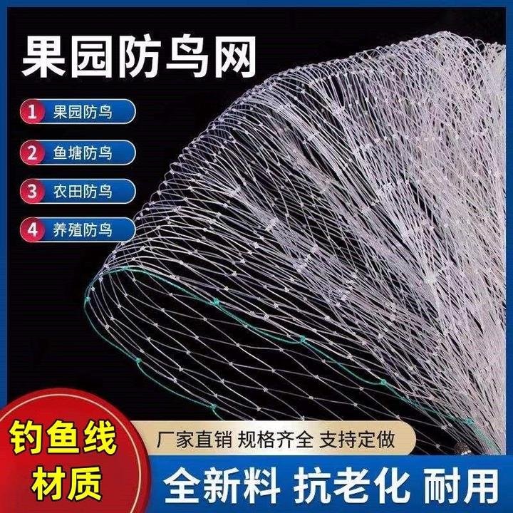 樱桃果树防鸟网果园菜地防鸟网网葡萄网果园防护防鸟新款专用批发
