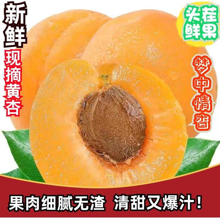 山西大黄杏新鲜水果现摘应当季孕妇水果金太阳杏1/5斤