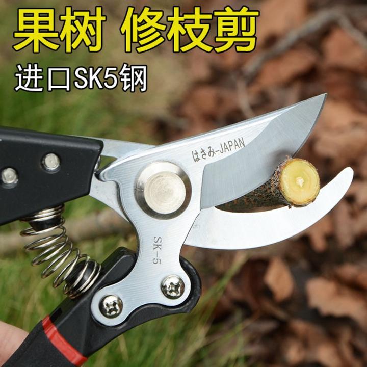 花剪园艺剪刀家用花草盆栽修花园林果树修剪树枝日本剪枝修枝剪