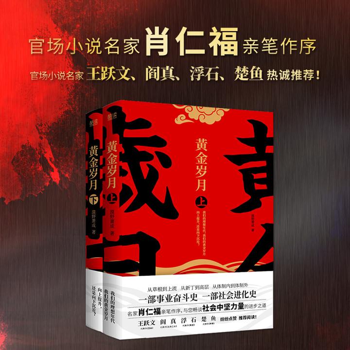 黄金岁月  体制内的故事 官场小说