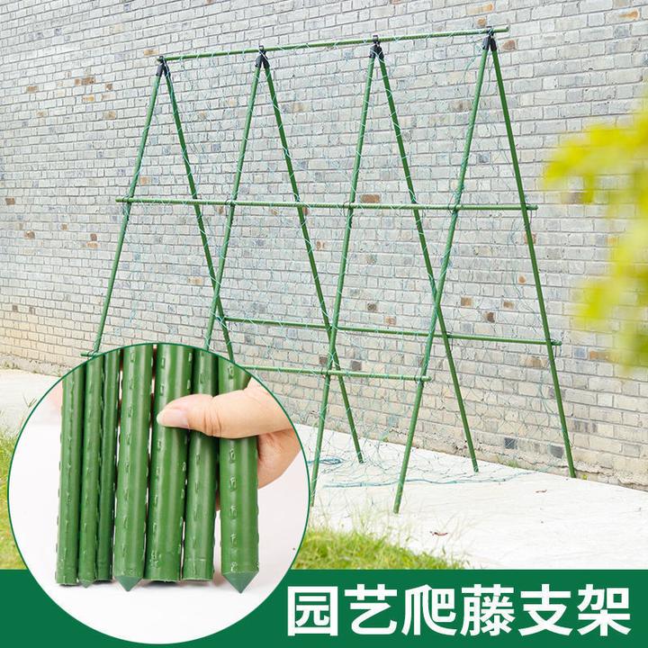 户外庭院种植黄瓜架豆角架攀爬支架杆包塑钢管楼顶植物葡萄爬藤架