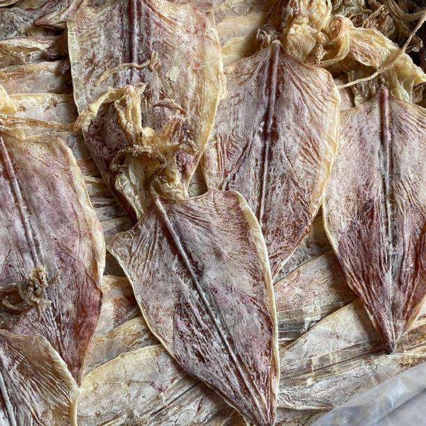 南澳本港烧烤鱿鱼干手撕干鱿鱼丝KTV酒吧专用芥末鱿鱼干干鱿 250g