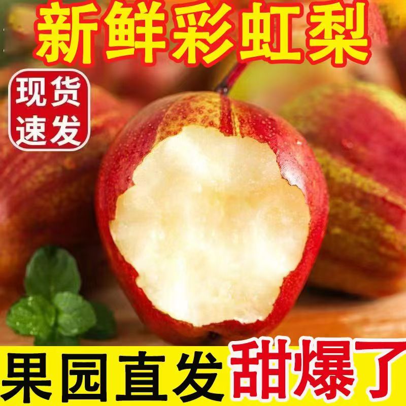 陕西彩虹梨脆甜多汁当季新水果酥梨红皮产地直发 4 斤