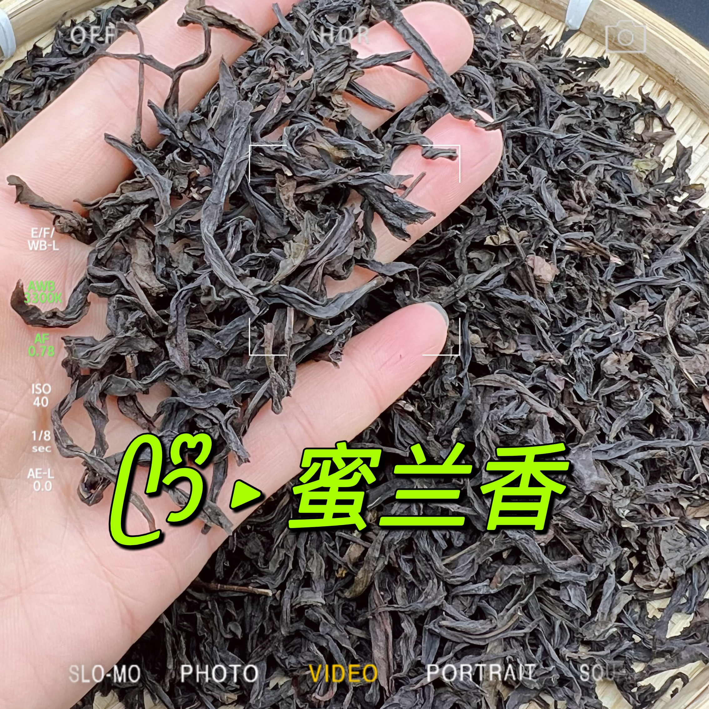 潮汕工夫茶 浓香型 【蜜兰香】口感醇香 回甘不苦涩