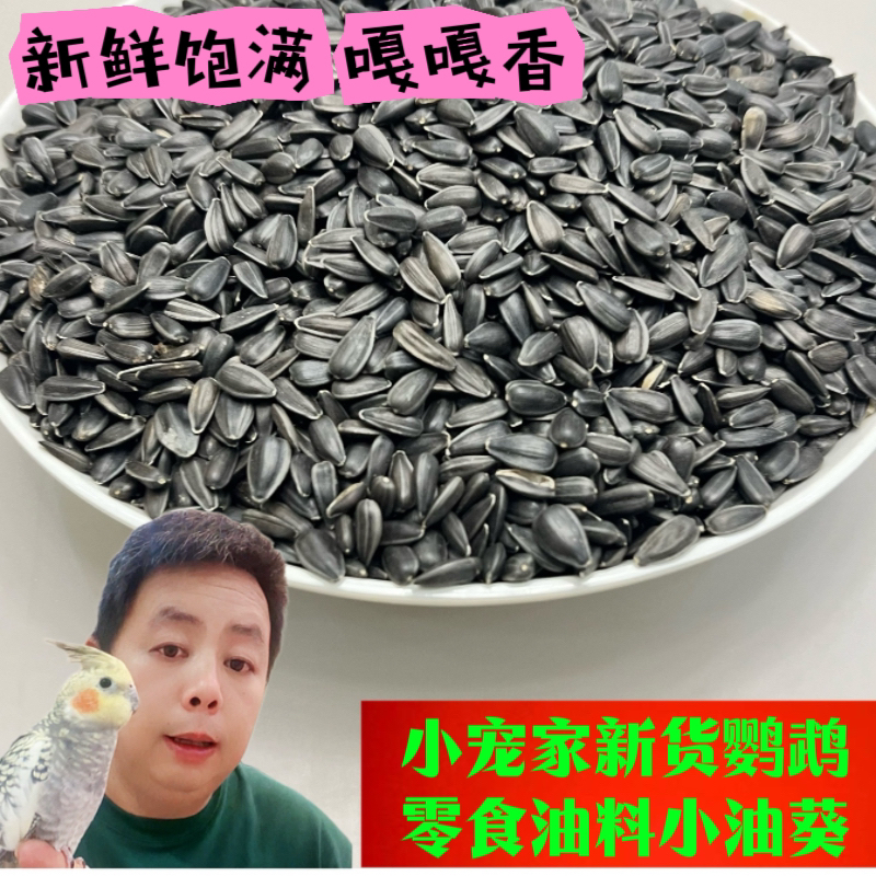 生黑珍珠小瓜子油料油葵籽鹦鹉爱吃零食鸟食鸟粮鹦鹉鸟食