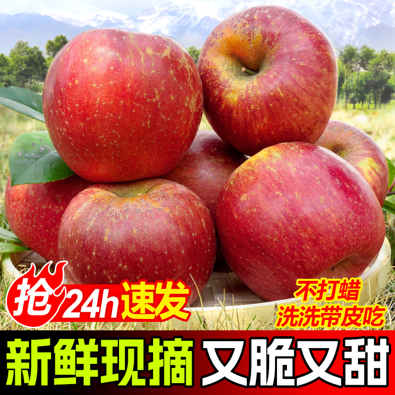 云南正宗现摘红苹果昭通冰糖心丑苹果新鲜应急脆甜水果产地直发