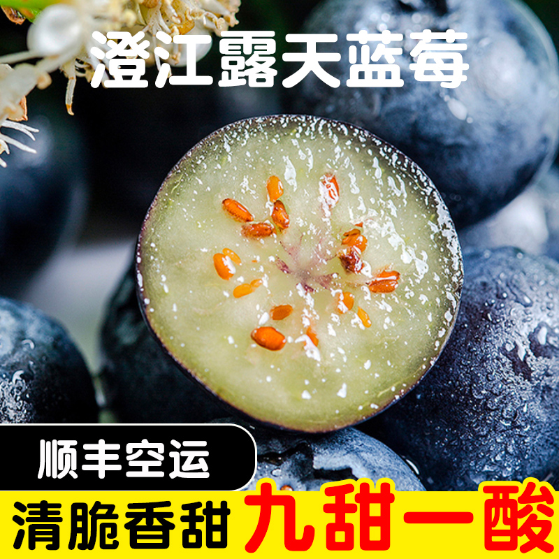 【顺丰空运】云南澄江露天蓝莓清脆香甜果香花香九甜一酸现摘现发