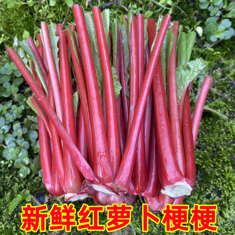 重庆农家新鲜红萝卜缨子红梗萝卜梗梗杆杆菜苗可做泡菜脆嫩1斤3斤