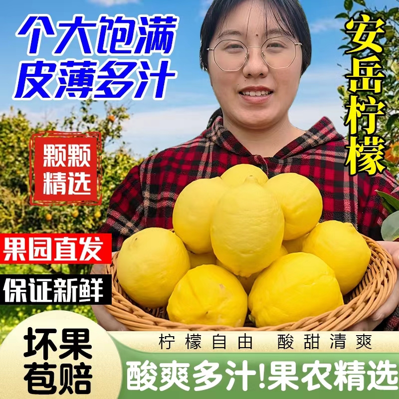 【2025年精品包装】安岳黄柠檬 3-9斤装果园直发独立包装酸甜多汁