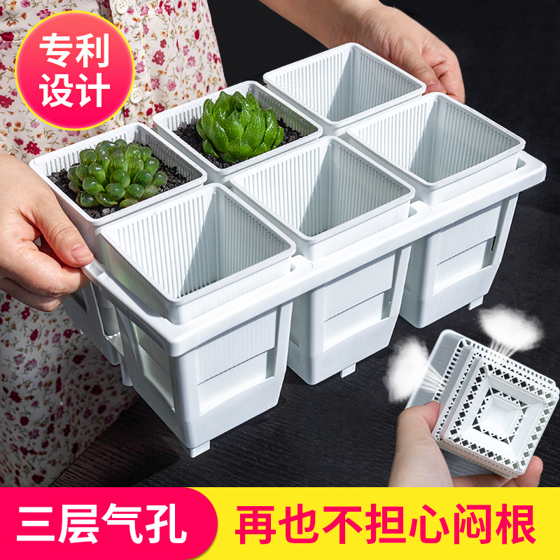 美莳玉露多肉控根花盆深高万象十二卷仙人球生石花方形塑料专用盆