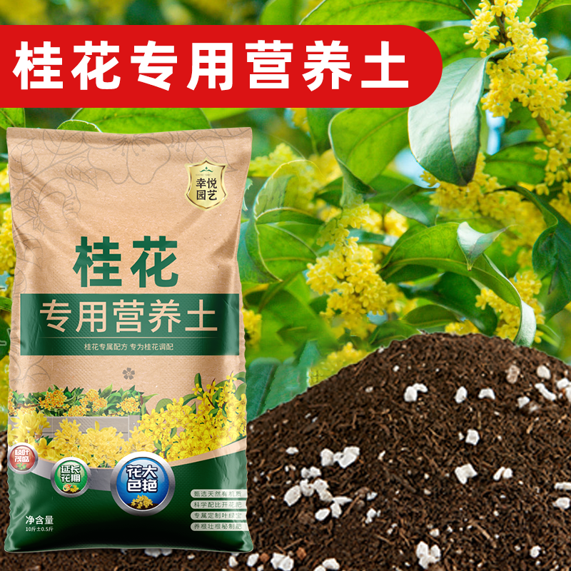 桂花专用土桂花专用营养土养花土通用型有机土壤肥料泥炭养花土壤