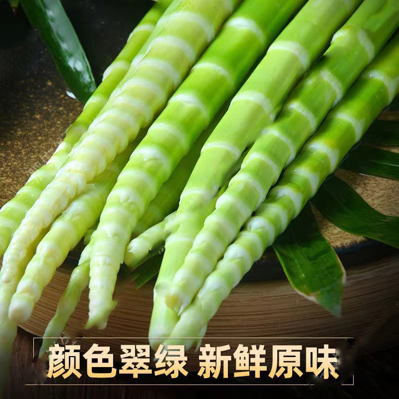 营养脆嫩小竹笋清水笋尖绿笋高山青笋火锅食材小竹笋新鲜玉笋炒菜