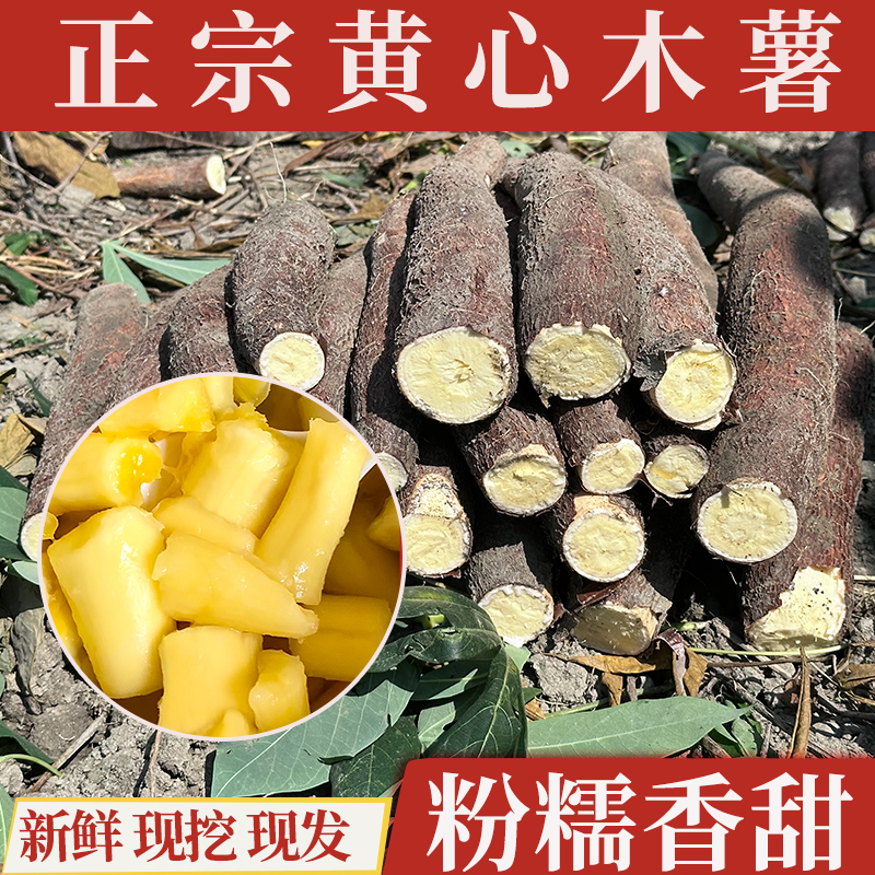 广西黄心木薯新鲜黄肉木薯羹糖水正宗现挖带皮板栗蛋黄面包香糯