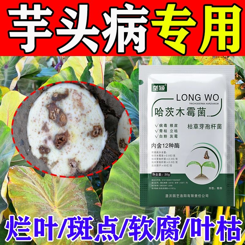 芋头专用肥料除菌剂疫病炭疽病铜钱病黑斑病烂叶烂根枯萎叶面肥