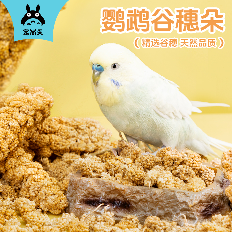鹦鹉新鲜天然谷穗带壳黄谷子小米玄凤虎皮饲料训练喂食鸟食鸟粮