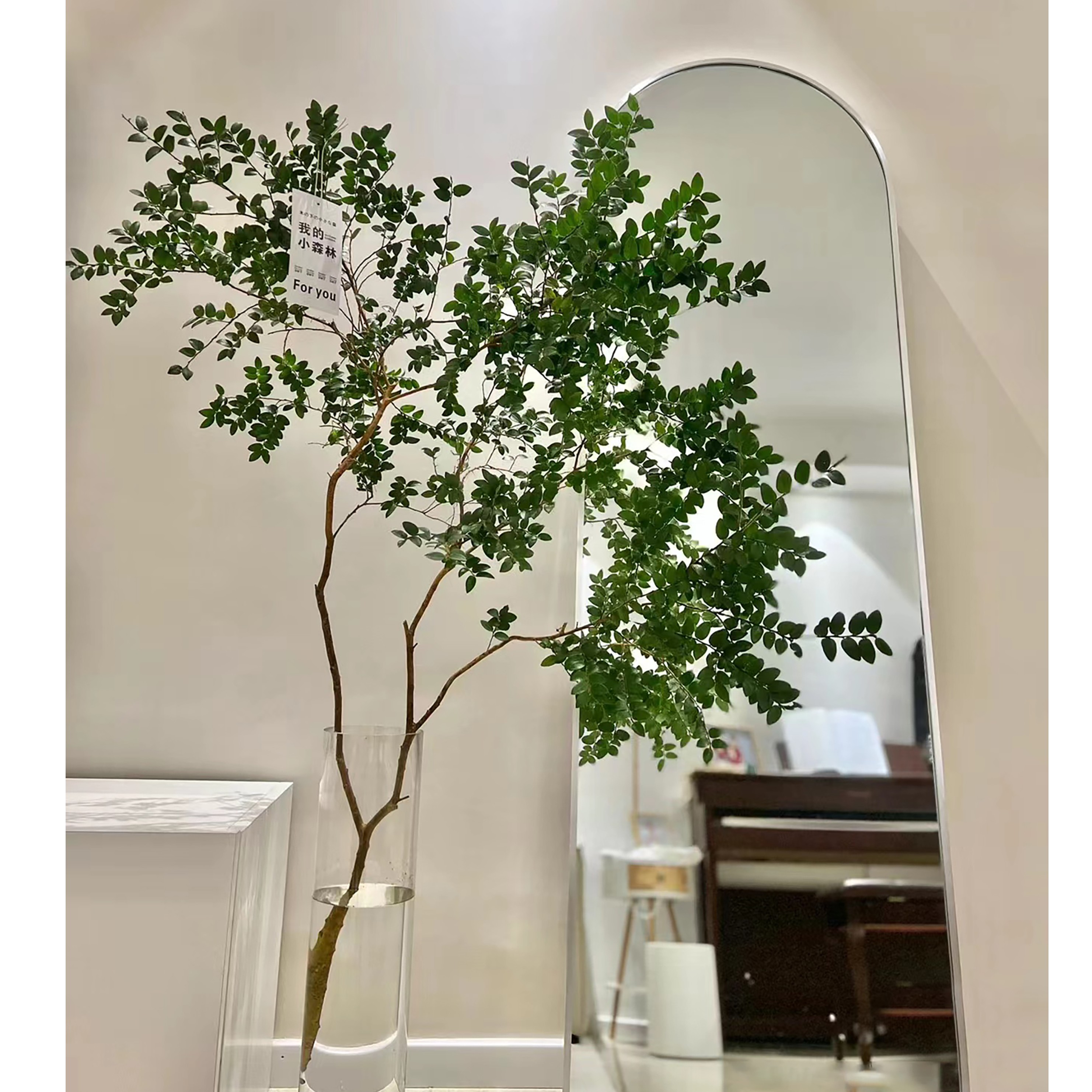 【拍一发二】顺丰美男树水培植物鲜切枝室内花卉好养马醉木吊钟平替