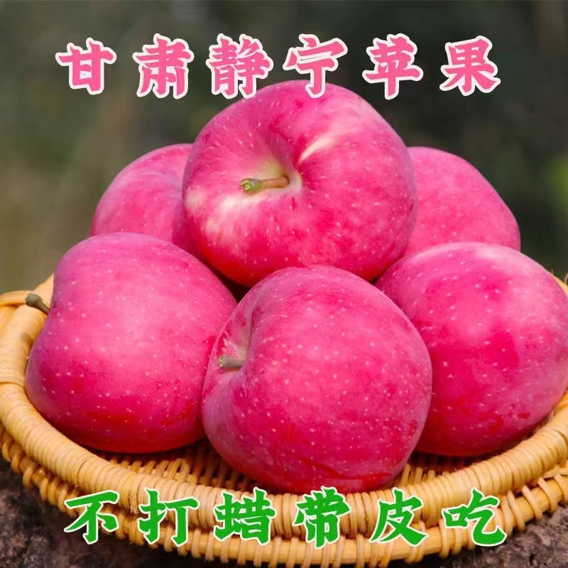 【顺丰】甘肃静宁红富士苹果脆甜多汁果园现摘现发整箱包邮5/9斤