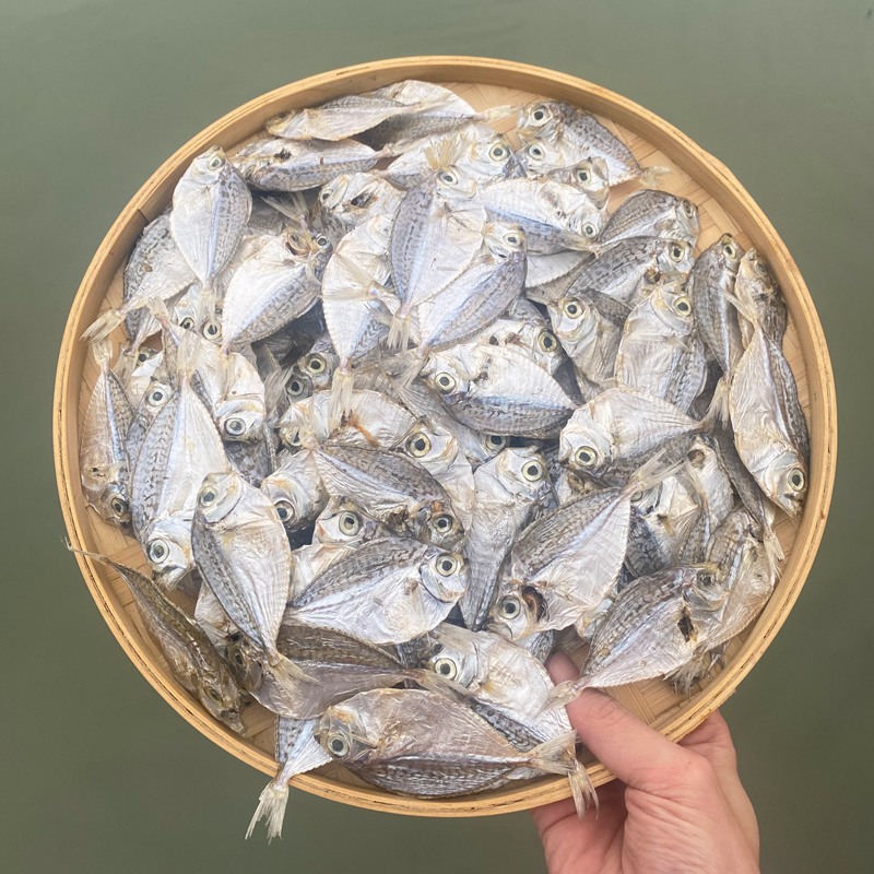 汕尾本港九梗鱼脯海产干货 咸金钱花脯斜撕吃法 潮汕金钱花鱼干