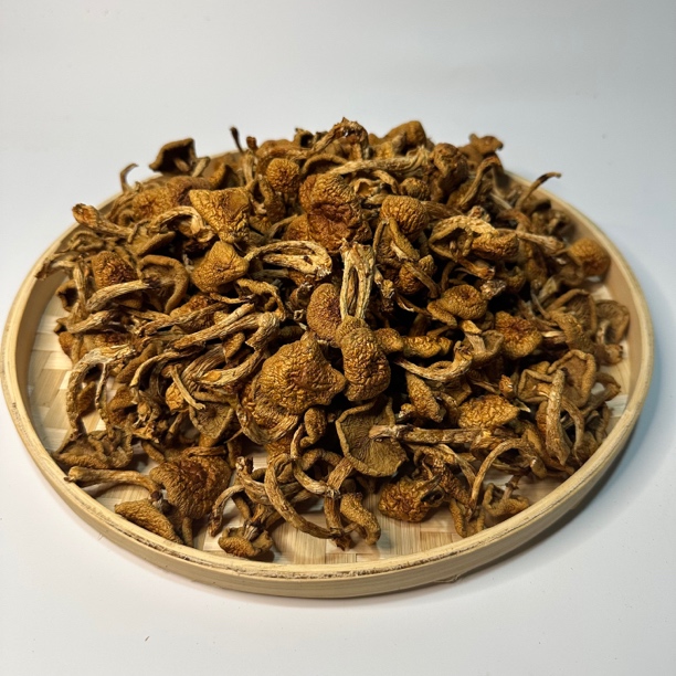 东北黑龙江滑子菇滑子蘑菇干品黄蘑油蘑250克包邮