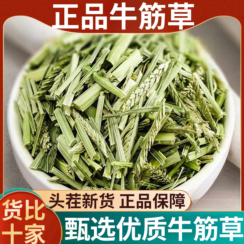 牛筋草中药材正品牛根草牛顿草蟋蟀草牛津草路边千筋草鸭脚草新货