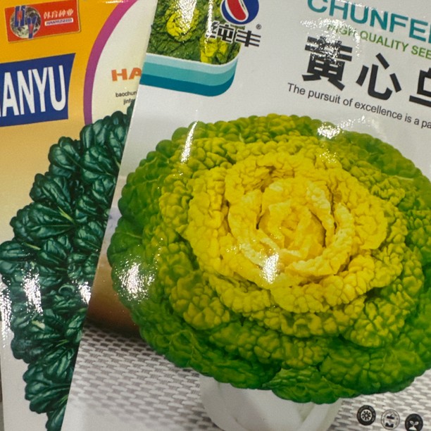 乌塌菜菜籽拍一发二